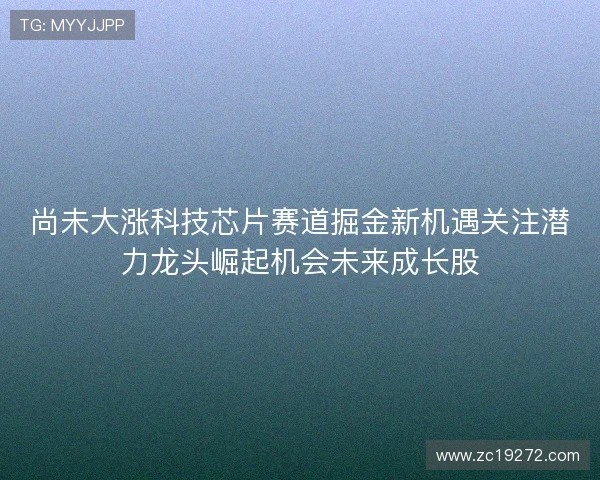 尚未大涨科技芯片赛道掘金新机遇关注潜力龙头崛起机会未来成长股